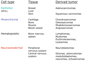 Cancer cell types